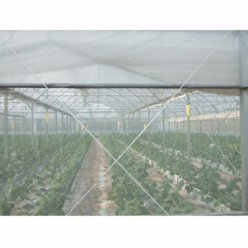 HDPE 70GSM Transparent Color Anti Insect Net